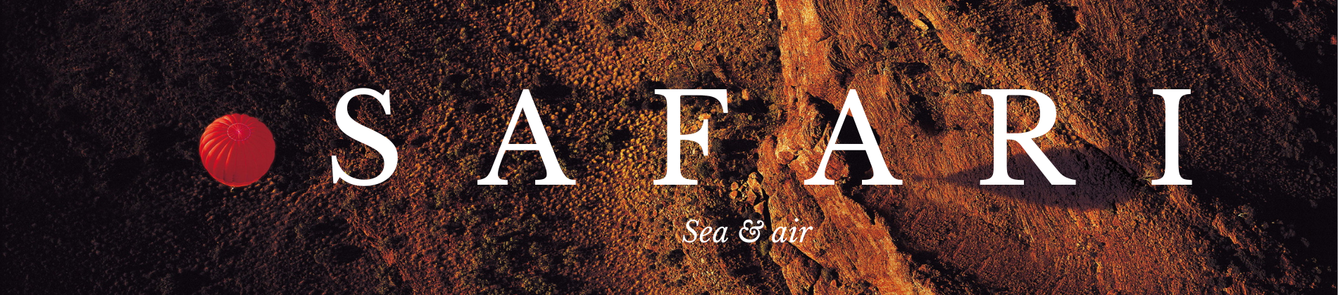 Safari Banner 1